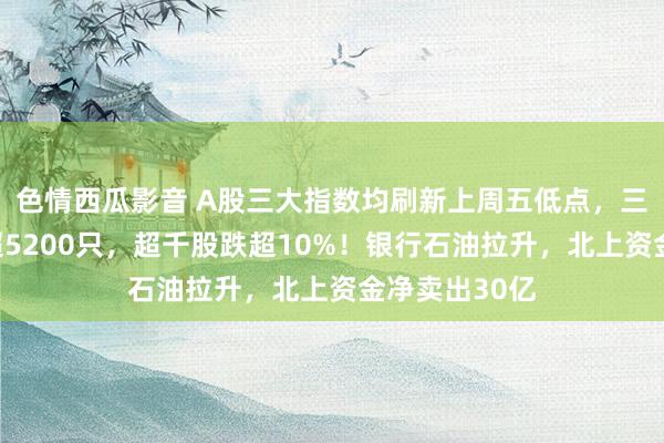 色情西瓜影音 A股三大指数均刷新上周五低点，三市着落个股超5200只，超千股跌超10%！银行石油拉升，北上资金净卖出30亿