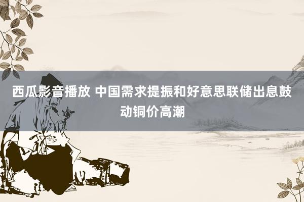 西瓜影音播放 中国需求提振和好意思联储出息鼓动铜价高潮