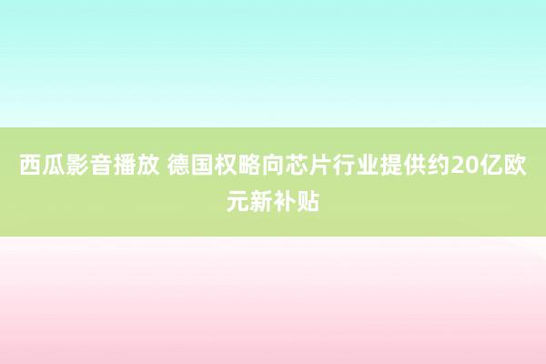 西瓜影音播放 德国权略向芯片行业提供约20亿欧元新补贴