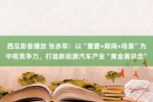 西瓜影音播放 张赤军：以“重要+期间+场景”为中枢竞争力，打造新能源汽车产业“黄金赛说念”